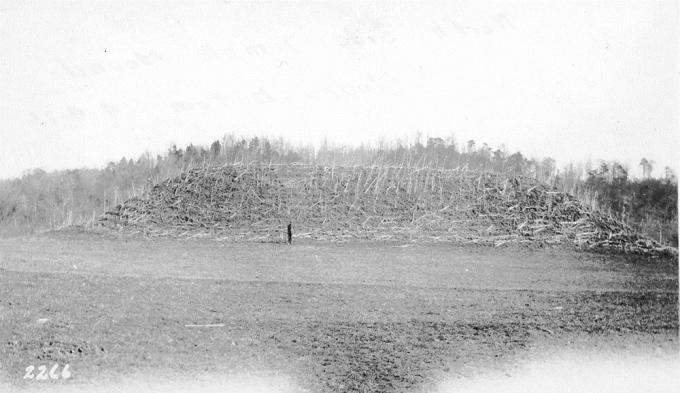 View of Mound A in 1926. Image courtesy the P.E. Cox papers, Tennessee State Library and Archives