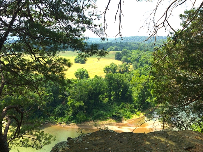View from Mace Bluff of the Mound Bottom site across the Harpeth River.